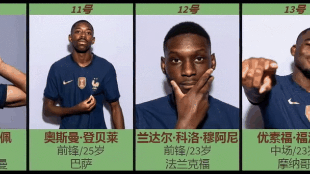 尊龙凯时：法国队青年才俊接班，本泽马与吉鲁该如何平衡？，本泽马入选法国国家队