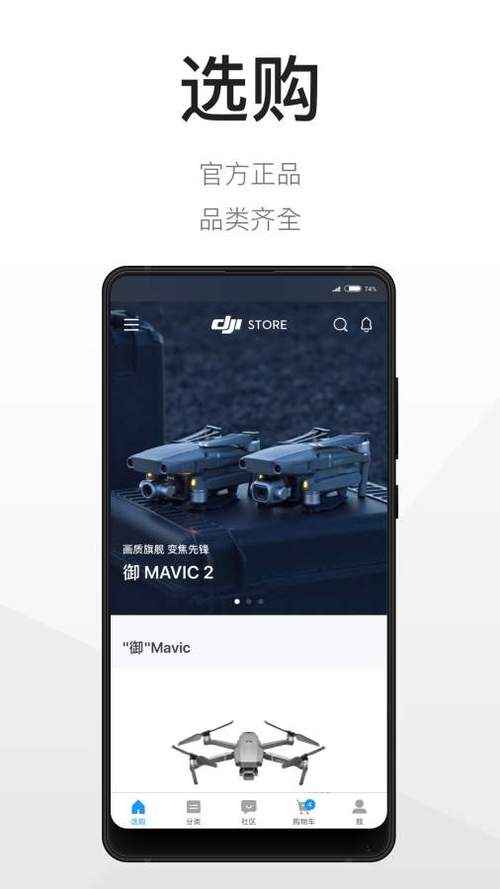 尊龙凯时官网解析：投注足球的盘口秘密，尊龙注册平台