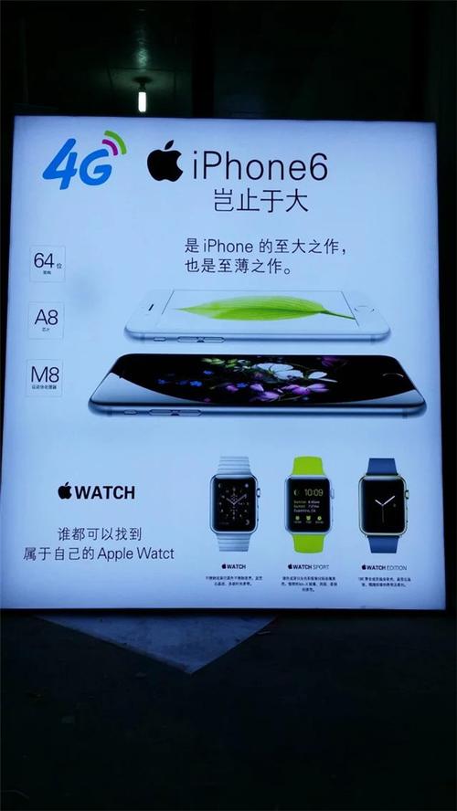 尊龙凯时app投注回报优化：如何通过尊龙凯时app优化篮球投注回报，确保高收益？