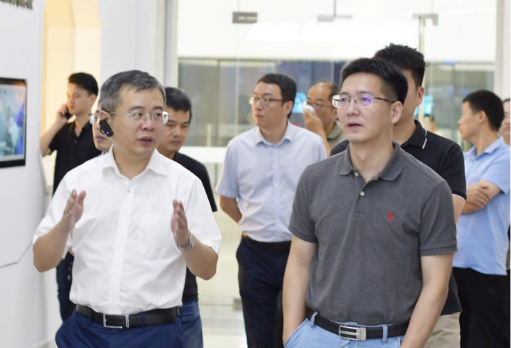 尊龙凯时揭秘：小额投注中的盈利策略，小额投资公司有哪些