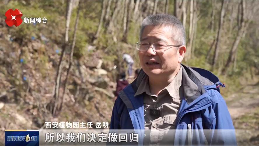 尊龙凯时人生就是博官网:体育博彩中的大数据运用