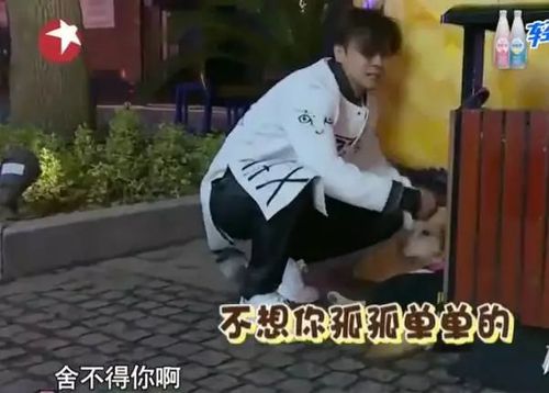 尊龙凯时人生就是博官网：女子撑杆跳高决赛，选手们挑战极限